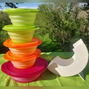 Tupperware Flat Out Collapsible Bowls 5 Bowl Set W Lids & Holder Prpl, Grn, Org